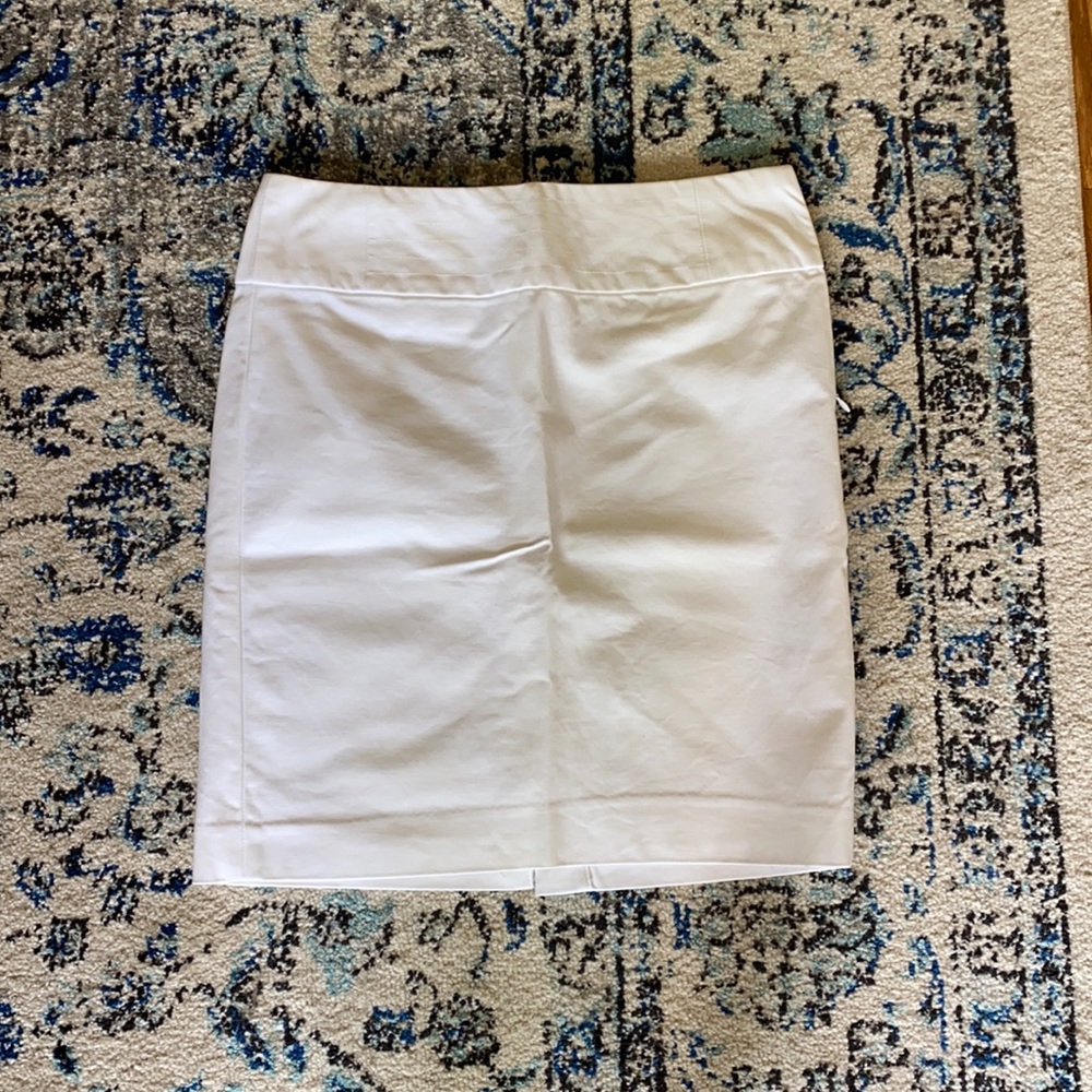 Banana Republic Skirt